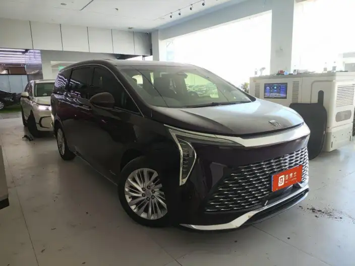 Century 2023 Model 2.0T VII seat Yunshi Edition – фото 2