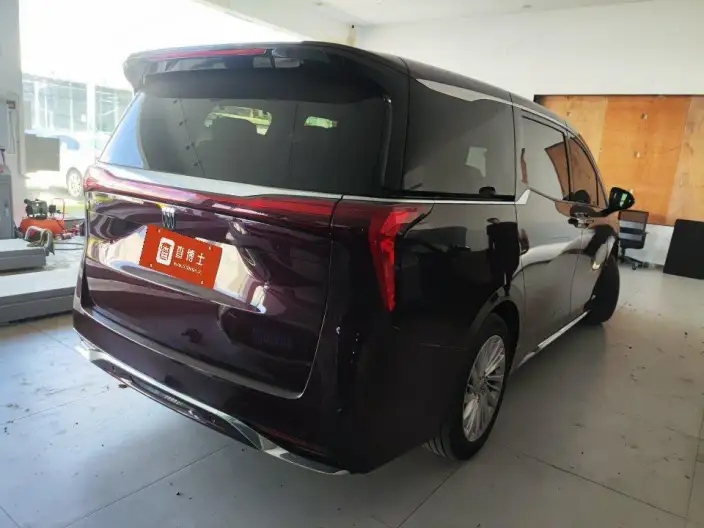 Century 2023 Model 2.0T VII seat Yunshi Edition – фото 4