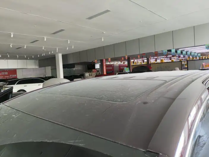 Century 2023 Model 2.0T VII seat Yunshi Edition – фото 5