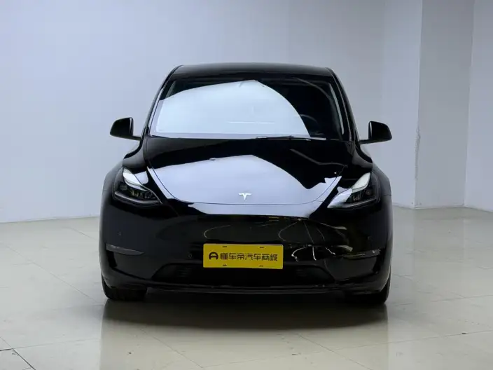 Model Y 2021 Model Facelift Long Battery Life Pro All-wheel drive version – фото 2