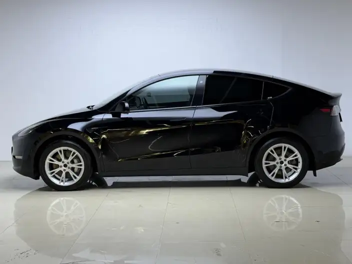 Model Y 2021 Model Facelift Long Battery Life Pro All-wheel drive version – фото 4