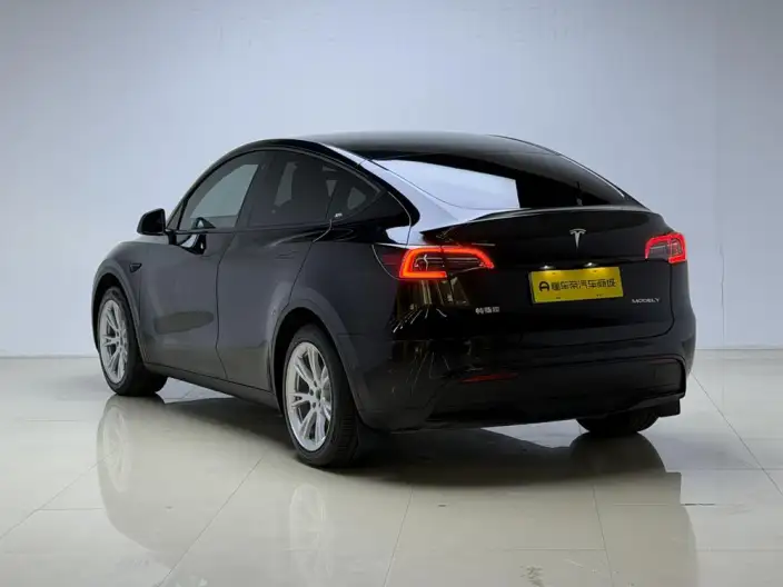 Model Y 2021 Model Facelift Long Battery Life Pro All-wheel drive version – фото 5