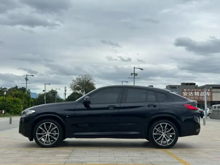 BMW X4 2022 Model xDrive 30i M Sports Set – фото 4