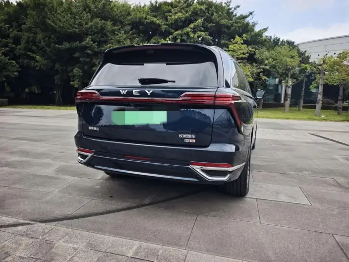 Wey Blue Mountain 2026 Model Smart Advanced version 4WD Max – фото 7