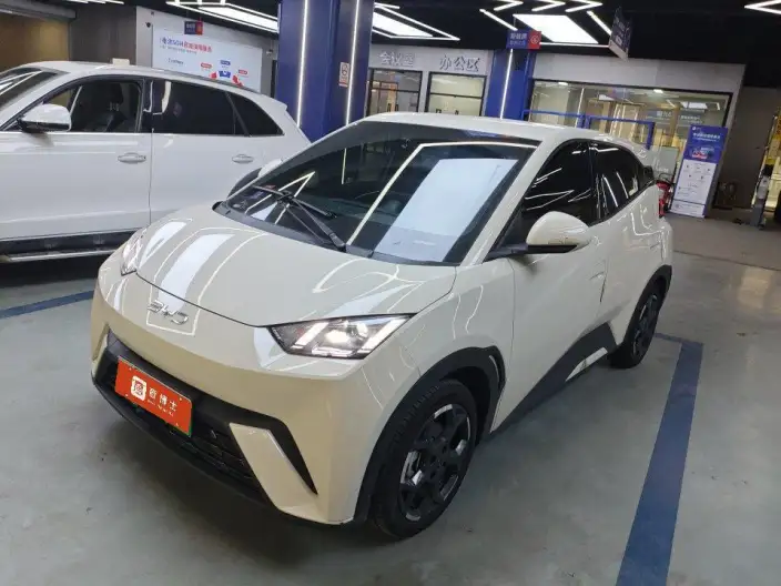 BYD Seagull 2025 Model 405KM Feixiang Edition – фото 1
