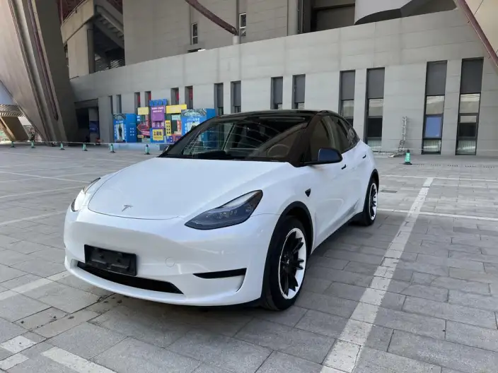Model Y 2024 Model Rear-wheel drive version – фото 1