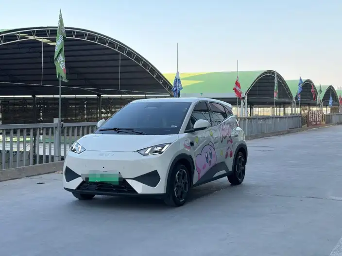 BYD Seagull 2025 Model Smart Driving Edition 305KM Free Edition – фото 1