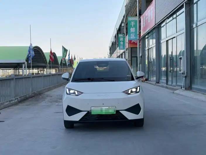 BYD Seagull 2025 Model Smart Driving Edition 305KM Free Edition – фото 2
