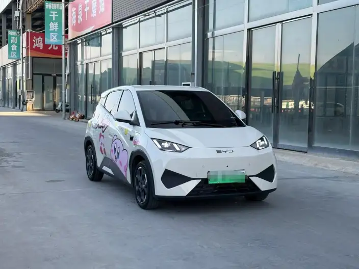 BYD Seagull 2025 Model Smart Driving Edition 305KM Free Edition – фото 3