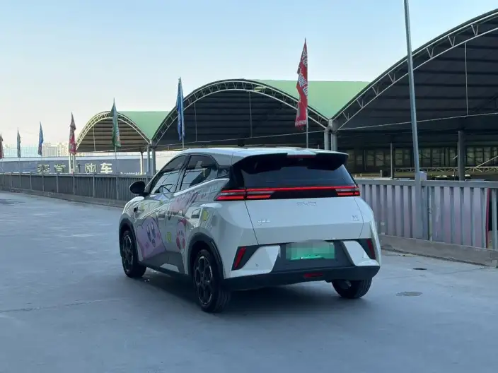 BYD Seagull 2025 Model Smart Driving Edition 305KM Free Edition – фото 4