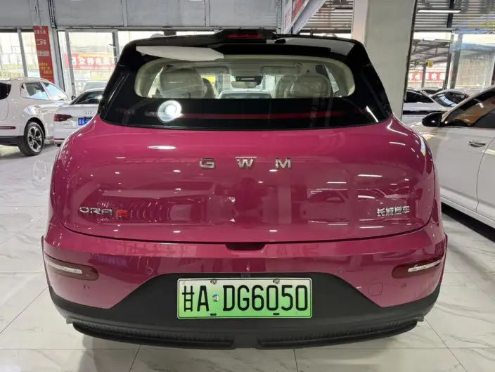 Ora 5SUV EV Edition 2026 Model 480km Pro Edition