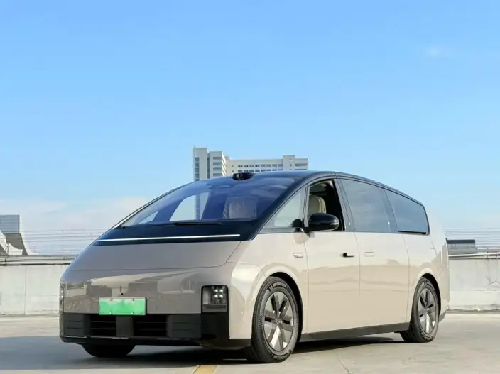 Li Auto MEGA 2025 Model Home Family Special Edition – фото 1