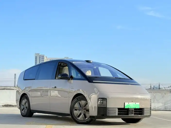 Li Auto MEGA 2025 Model Home Family Special Edition – фото 3