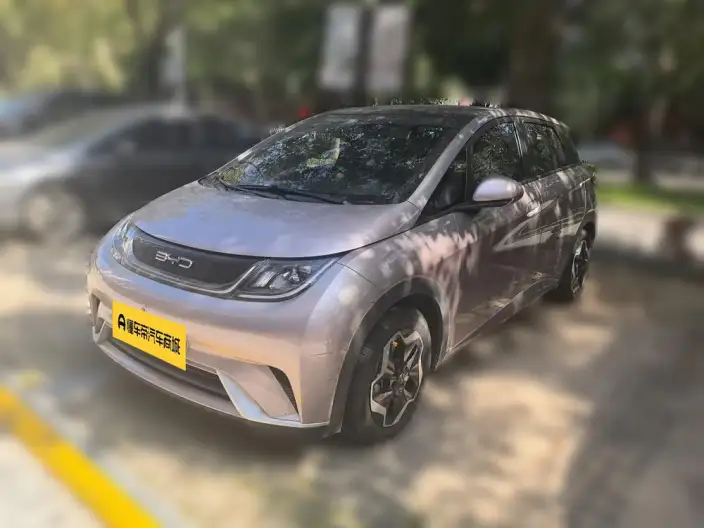 BYD Dolphin 2021 Model Fashion Edition
