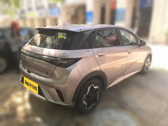 BYD Dolphin 2021 Model Fashion Edition