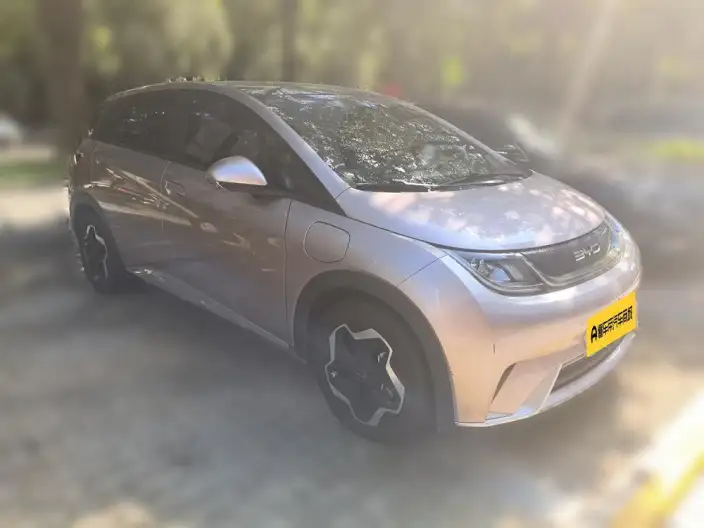 BYD Dolphin 2021 Model Fashion Edition