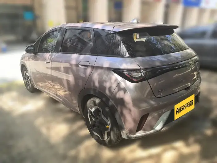 BYD Dolphin 2021 Model Fashion Edition