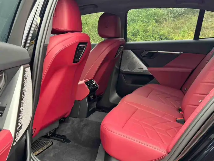 BMW 5 Series 2025 Model 530Li Leading Model M Sports Set – фото 9