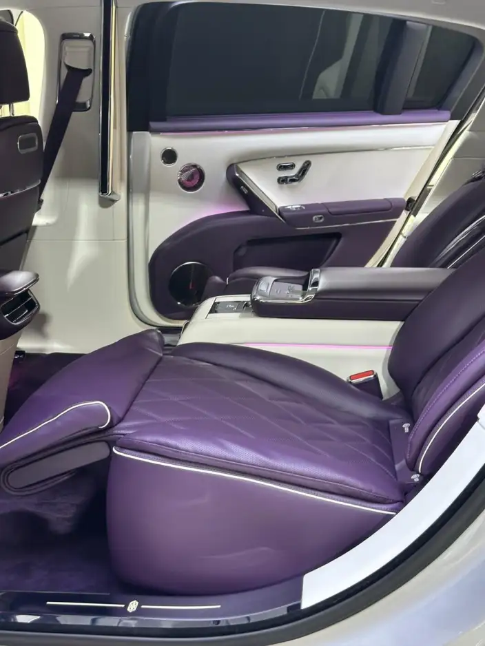 Zunjie S800 2025 Model Extended Range Star Edition Executive Edition 4 seat – фото 9