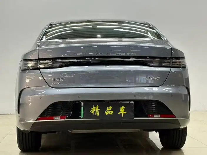 BYD Destroyer 05 2024 Model Honor Edition DM-i 55KM Luxury Model – фото 5