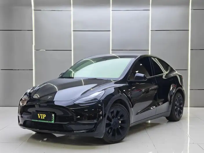 Model Y 2022 Model Long Battery Life Pro All-wheel drive version – фото 1