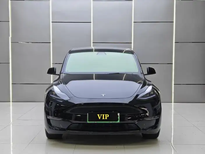 Model Y 2022 Model Long Battery Life Pro All-wheel drive version – фото 2