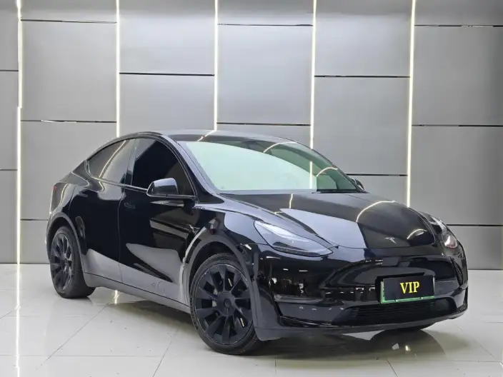 Model Y 2022 Model Long Battery Life Pro All-wheel drive version – фото 3