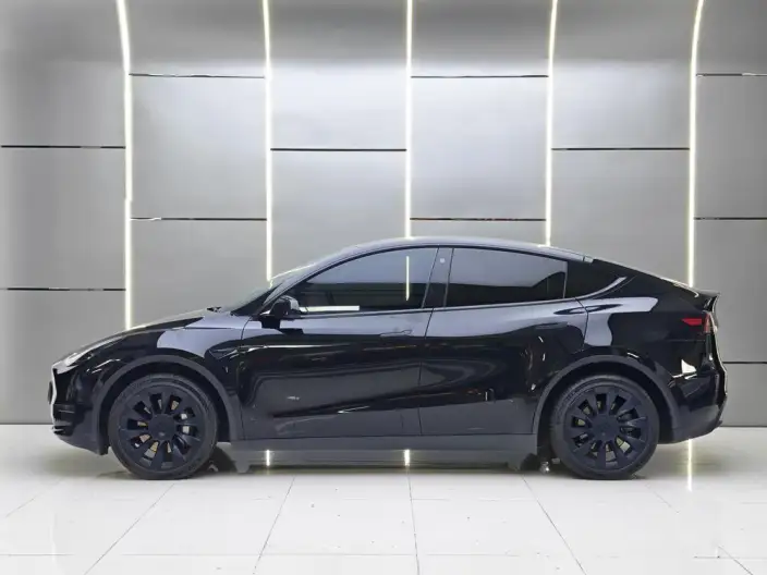 Model Y 2022 Model Long Battery Life Pro All-wheel drive version – фото 4