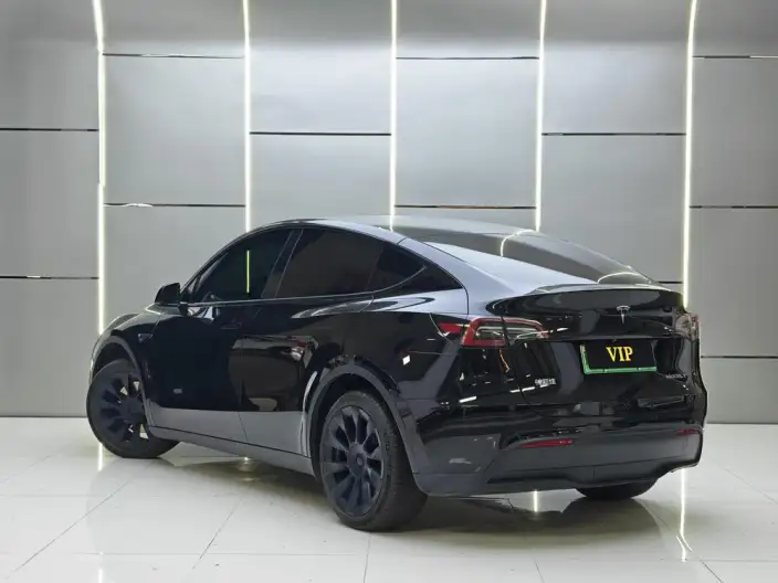 Model Y 2022 Model Long Battery Life Pro All-wheel drive version – фото 5