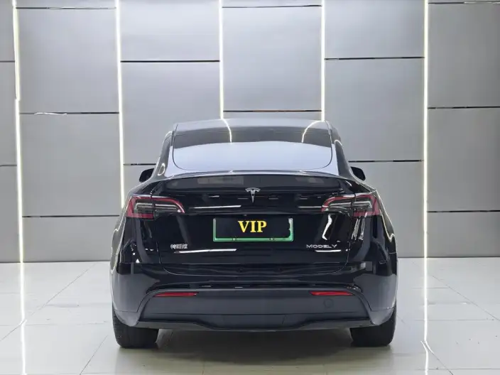 Model Y 2022 Model Long Battery Life Pro All-wheel drive version – фото 6