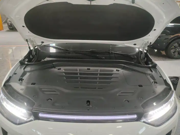Leapmotor C11 2024 Model EV Edition 580 Exclusive Edition – фото 5