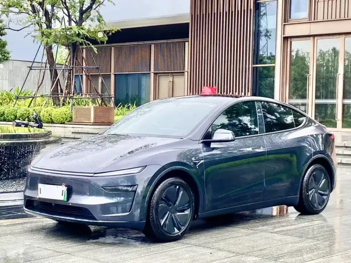 Model Y 2025 Model Rear-wheel drive version – фото 1