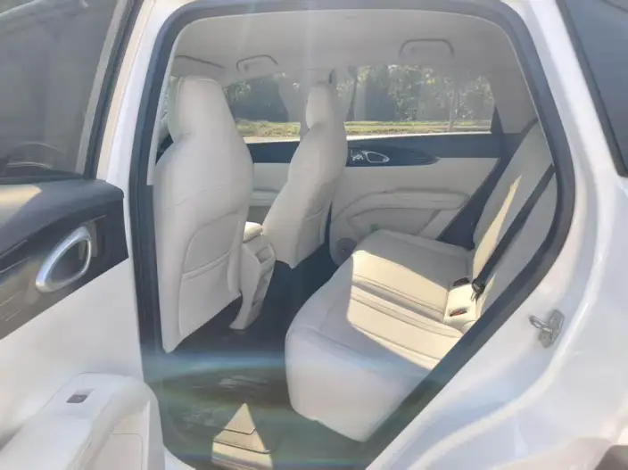 Geely Galaxy StarWish 2025 Model 410km Free Edition – фото 9