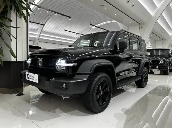 Tank 300 2025 Model 2.4T Diesel Edition