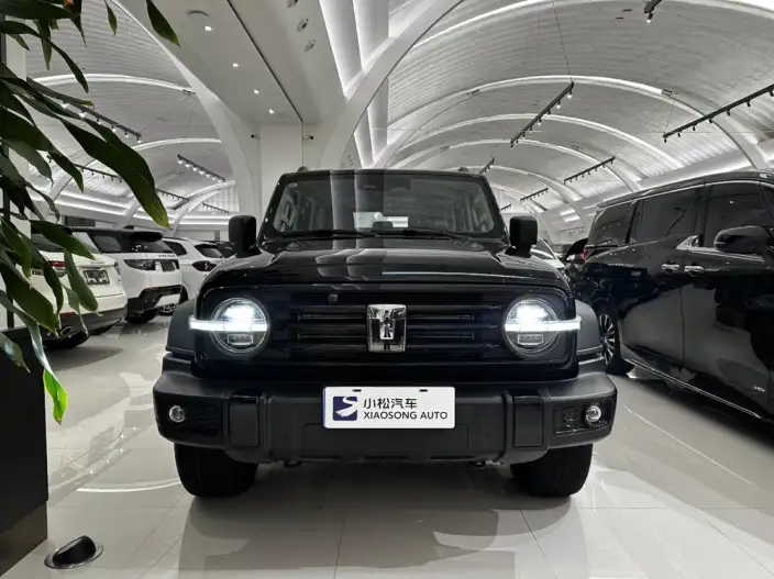 Tank 300 2025 Model 2.4T Diesel Edition