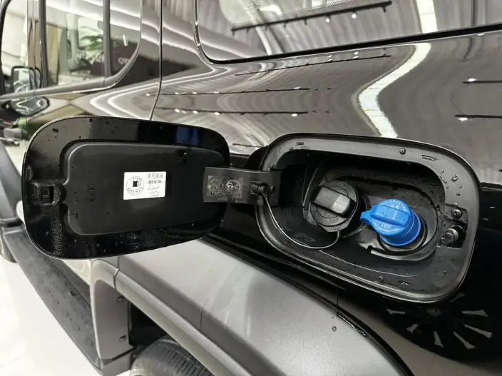 Tank 300 2025 Model 2.4T Diesel Edition