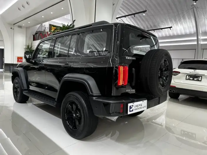 Tank 300 2025 Model 2.4T Diesel Edition