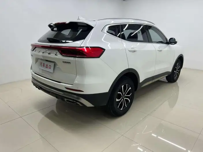 Haval H6 2021 Model Guo Trendy Edition 1.5T Automatic Urban Edition – фото 6