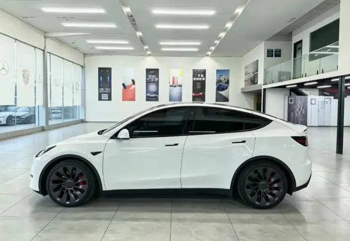 Model Y 2022 Model Performance High performance All-wheel drive version – фото 4