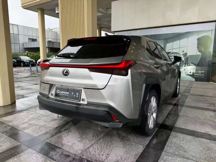 Lexus UX 2020 Model 200 Special Edition – фото 6