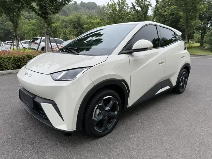 BYD Seagull 2023 Model Free Edition