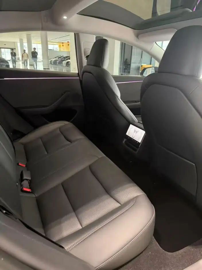 Model 3 2023 Model Rear-wheel drive version – фото 9