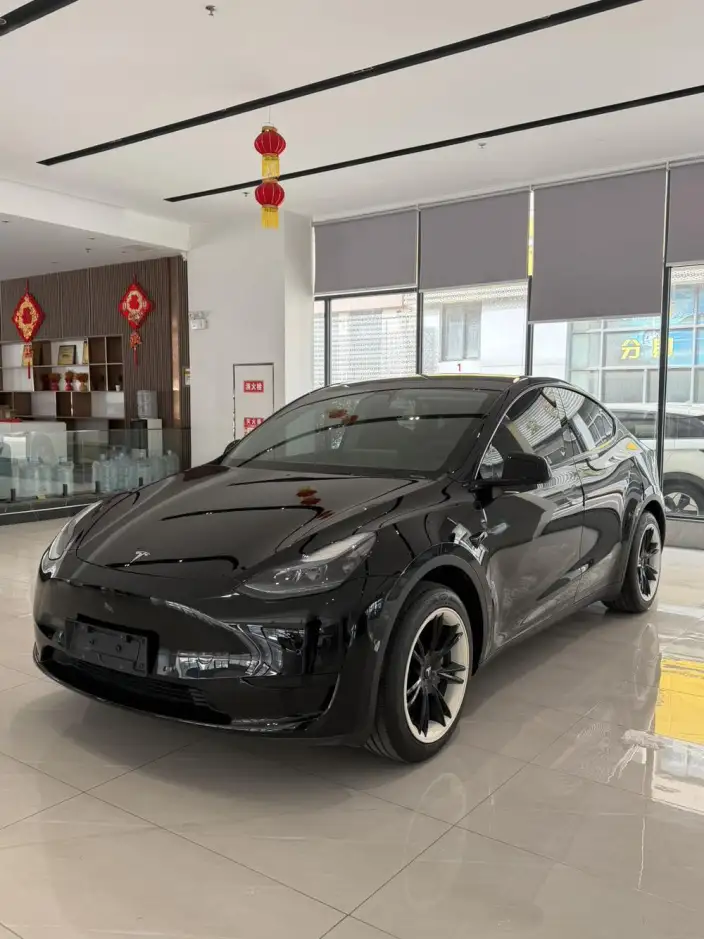 Model Y 2022 Model Facelift Rear-wheel drive version – фото 1