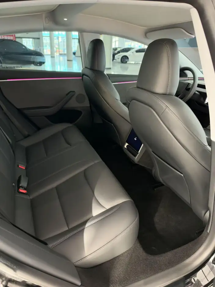 Model 3 2023 Model Rear-wheel drive version – фото 9