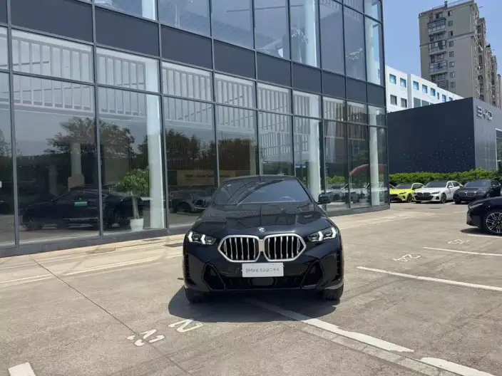 BMW X6 2023 Model xDrive40i M Sports Set