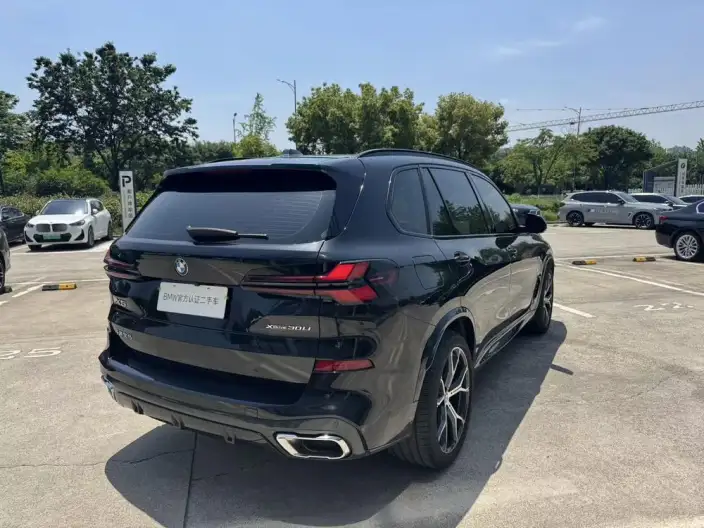 BMW X5 2025 Model xDrive30Li Exclusive Model M Sports Night Set – фото 5