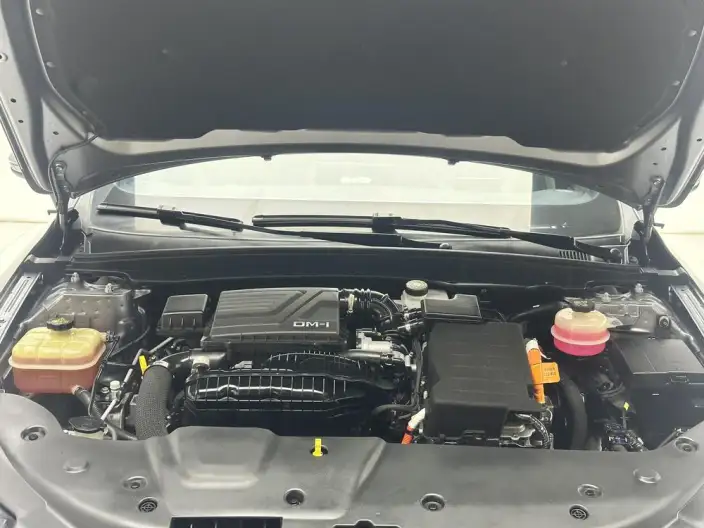 BYD Qin PLUS DM 2021 Model DM-i 55KM Flagship Model – фото 10