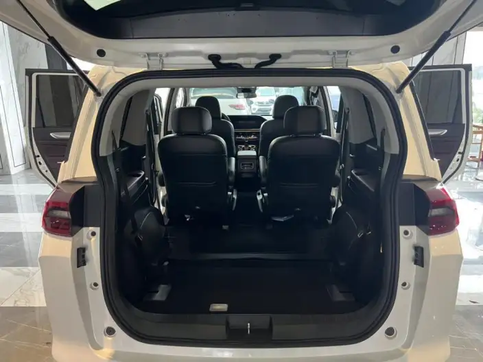 GAC Trumpchi M6 2021 Model Pro 270T Automatic Exclusive Edition – фото 8