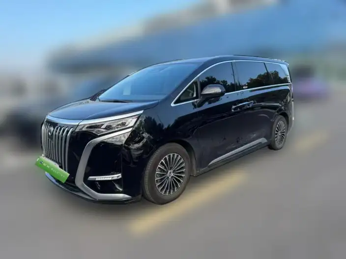 Denza D9 EV 2024 Model 620 2WD Exclusive Model