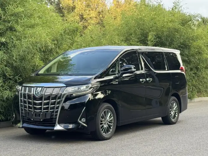 Elfa 2021 Model Hybrid 2.5L Deluxe Edition – фото 1